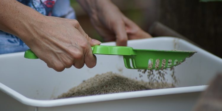 Le meilleur guide de bac à litière autonettoyant pour 2020