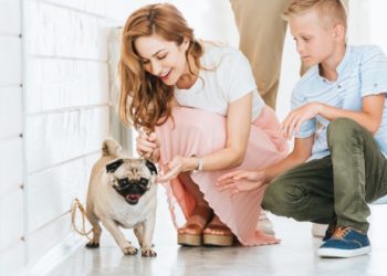 10 conseils pour les 30 premiers jours après l’adoption d’un chien