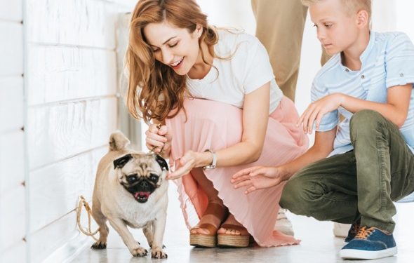 10 conseils pour les 30 premiers jours après l’adoption d’un chien