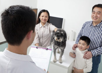 10 questions que tout le monde devrait poser à son vétérinaire