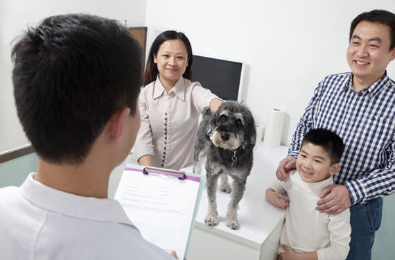 10 questions que tout le monde devrait poser à son vétérinaire