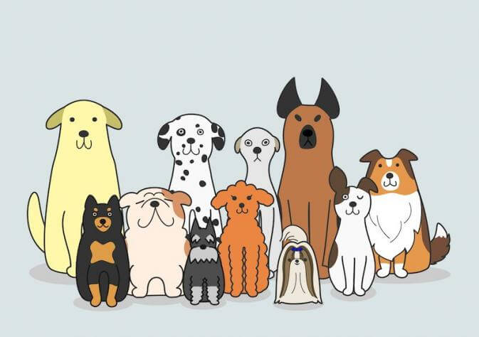 illustration des races de chiens