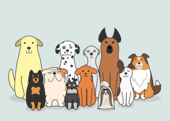 13 races de chiens avec des noms amusants