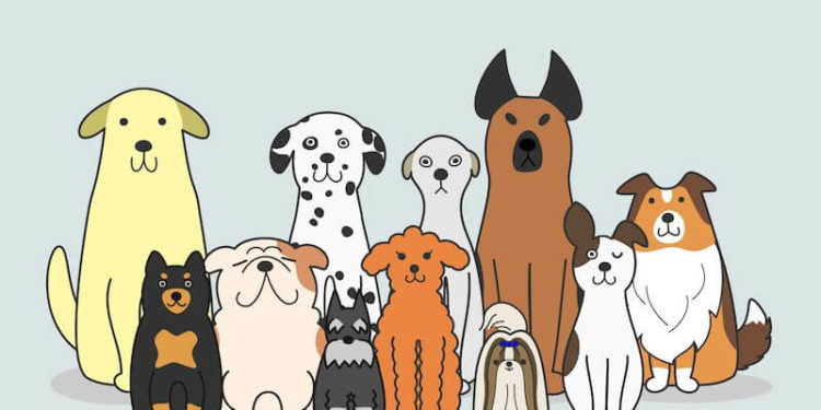 13 races de chiens avec des noms amusants
