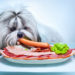 5 aliments qui peuvent être toxiques pour votre chien