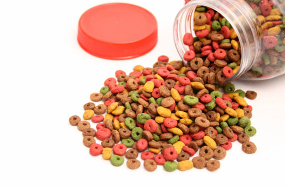 5 erreurs de conservation des aliments pour chats que vous ne voulez pas faire