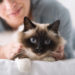 7 conseils pour un chat en bonne santé et heureux – et propriétaire