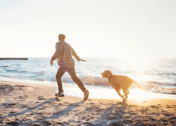 7 conseils que chaque propriétaire de chien et de chat devrait savoir