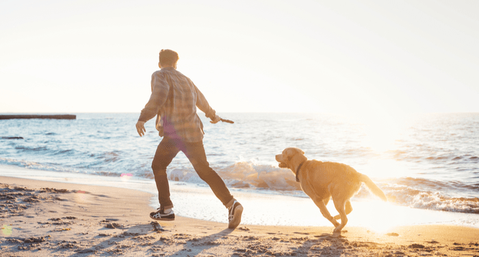 7 conseils que chaque propriétaire de chien et de chat devrait savoir