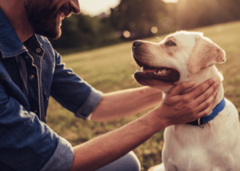 9 conseils pour un chiot sain et heureux