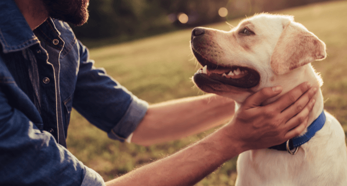 9 conseils pour un chiot sain et heureux