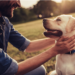 9 conseils pour un chiot sain et heureux
