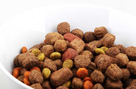 Ce que chaque fabricant devrait faire pour empêcher les rappels d’aliments pour animaux de compagnie