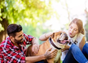 Ce que vous devez savoir sur le fait d’être propriétaire d’un chien