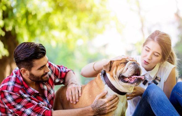 Ce que vous devez savoir sur le fait d’être propriétaire d’un chien