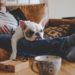 Combien les chiens dorment-ils?