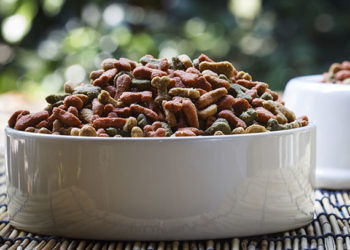 Comparaison des profils nutritionnels des aliments pour chiens