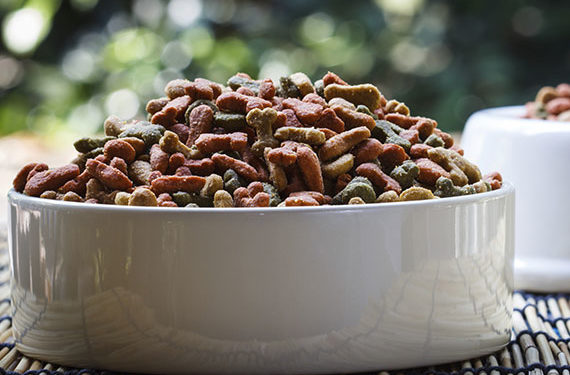 Comparaison des profils nutritionnels des aliments pour chiens