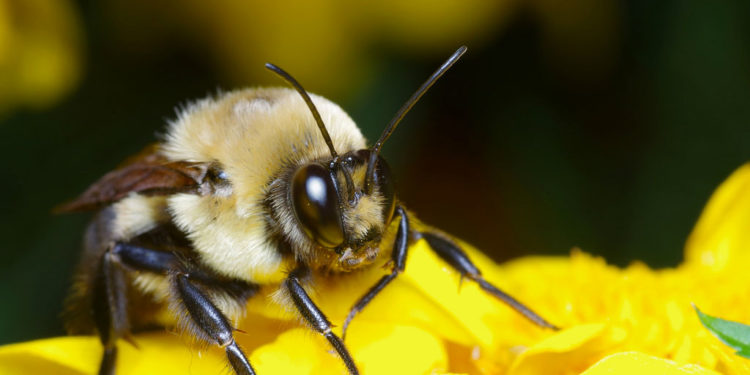 Faits clés, informations et photos