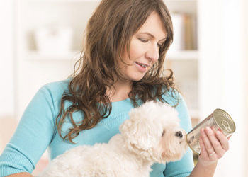 La nourriture pour chiens en conserve vaut-elle le prix?