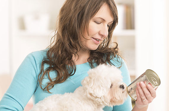 La nourriture pour chiens en conserve vaut-elle le prix?