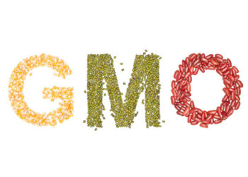 Les aliments pour animaux sans OGM sont-ils plus sûrs que les aliments pour animaux de compagnie ordinaires?