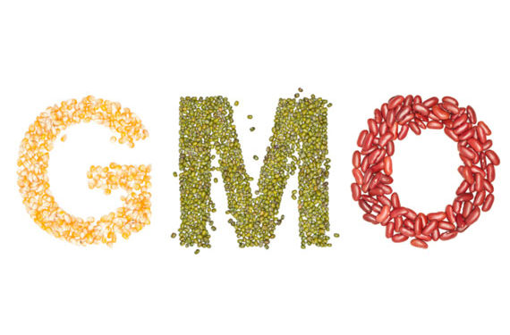 Les aliments pour animaux sans OGM sont-ils plus sûrs que les aliments pour animaux de compagnie ordinaires?