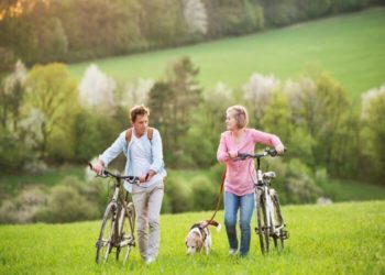 The Dog Trainer: Comment choisir un chien de compagnie à mesure que vous vieillissez :: Conseils rapides et sales