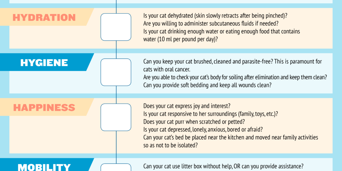 Infographie utilisez cette échelle de qualité de vie pour décider