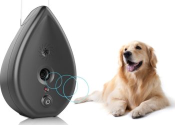 16 meilleures critiques de silencieux pour chiens pour 2020