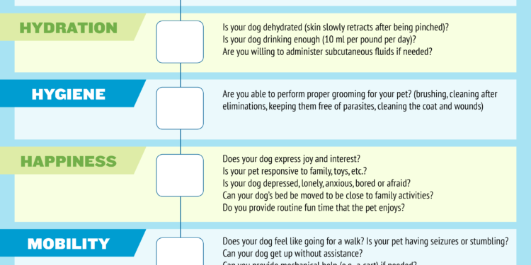 Infographie: utilisez cette échelle de qualité de vie pour décider quand abattre votre chien