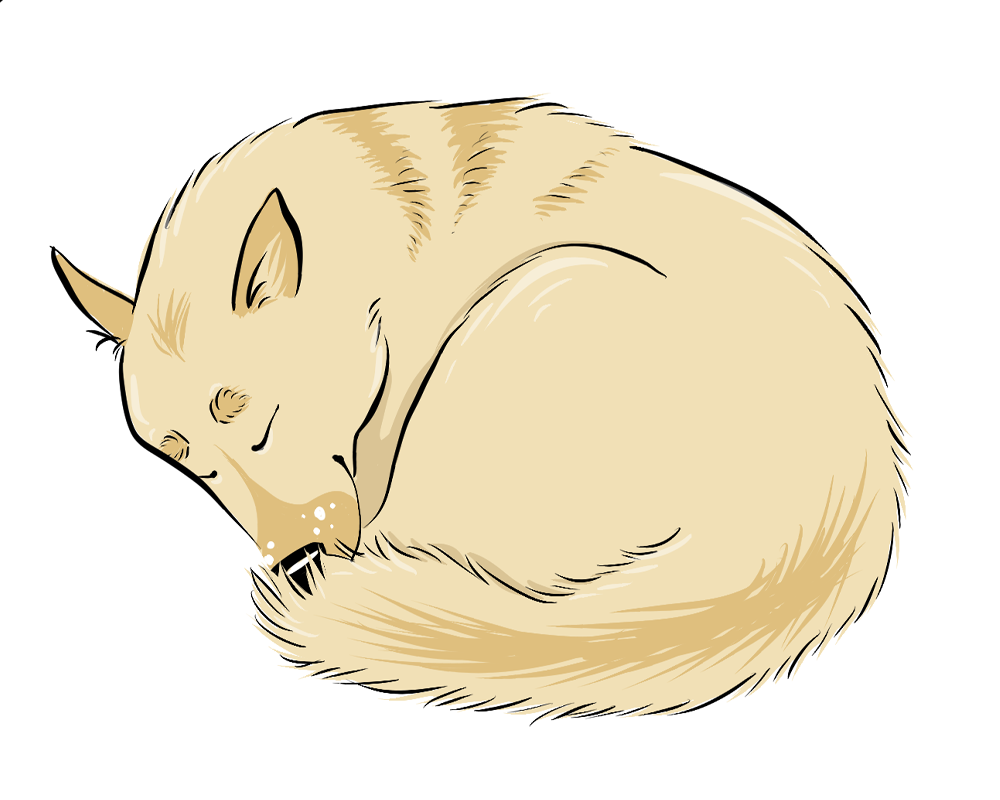 position de sommeil de chien beignet