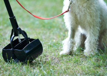 16 meilleures critiques de Pooper Scooper – Édition 2020