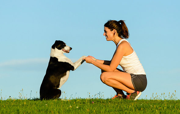 4 indices de dressage critiques pour chiens qui pourraient sauver la vie de votre chien