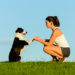 4 indices de dressage critiques pour chiens qui pourraient sauver la vie de votre chien