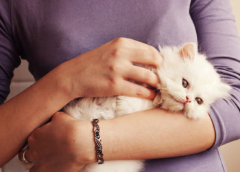 5 étapes pour réussir en tant que nouveau parent