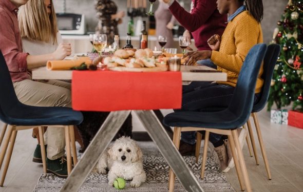 6 restes de nourriture de vacances qui sont dangereux pour les chiens