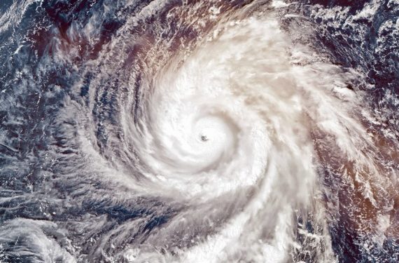 Comment se préparer à un ouragan avec des animaux domestiques