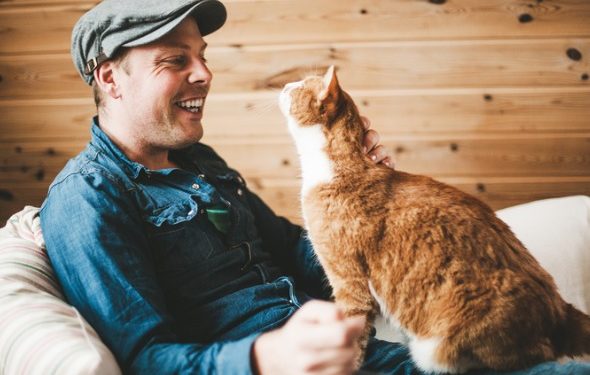 Les chats aiment-ils leurs propriétaires? Une étude en dit beaucoup plus que ce à quoi vous vous attendiez