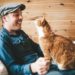 Les chats aiment-ils leurs propriétaires? Une étude en dit beaucoup plus que ce à quoi vous vous attendiez