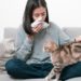 Les scientifiques ont peut-être découvert comment se débarrasser des allergies aux chats