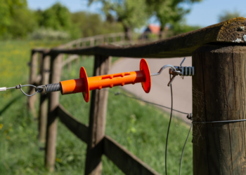 Meilleures critiques de clôtures électriques pour chiens pour 2020 – Des limites invisibles qui fonctionnent