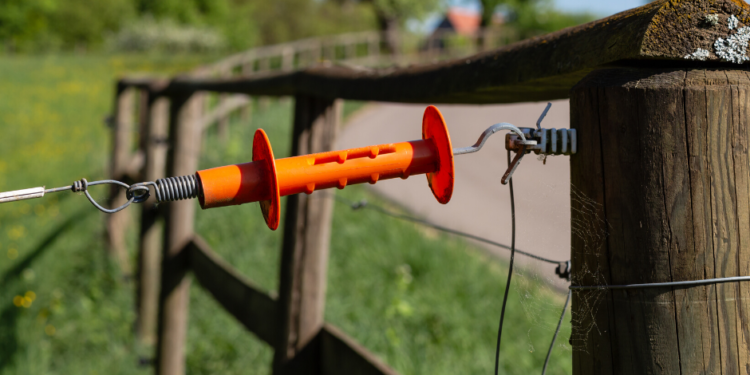 Meilleures critiques de clôtures électriques pour chiens pour 2020 – Des limites invisibles qui fonctionnent