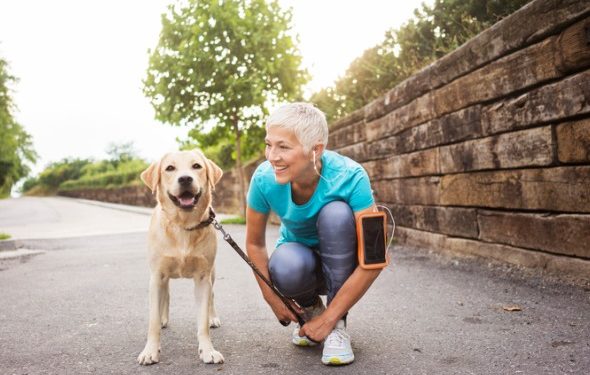 Une nouvelle étude révèle que les propriétaires de chiens vivent plus longtemps et sont plus susceptibles de survivre aux crises cardiaques