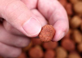 Étiquettes d’aliments pour chiens – significatives ou marketing?