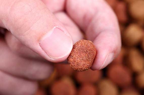 Étiquettes d’aliments pour chiens – significatives ou marketing?