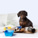 Meilleures critiques de poubelles pour chiens