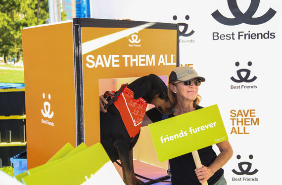 5 façons dont les refuges pour animaux gardent leurs portes ouvertes (et comment vous pouvez aider)