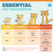 Basic Vaccine Schedule for Cats