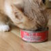 Combien de thon un chat peut-il manger ?